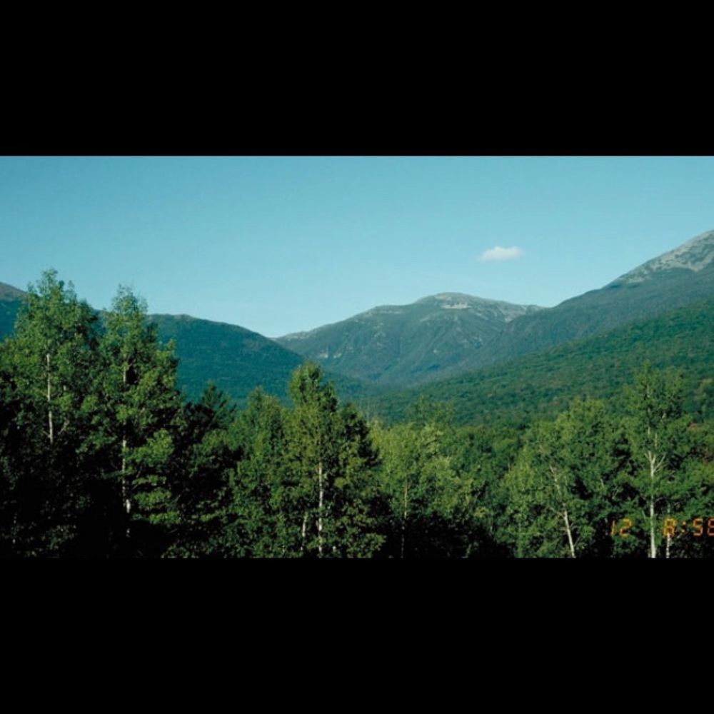 Meet your Posher, Nora